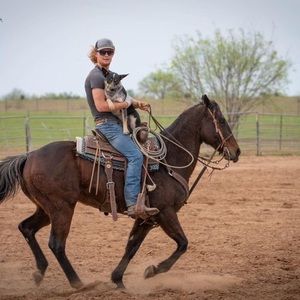 Meet your Posher, Ben